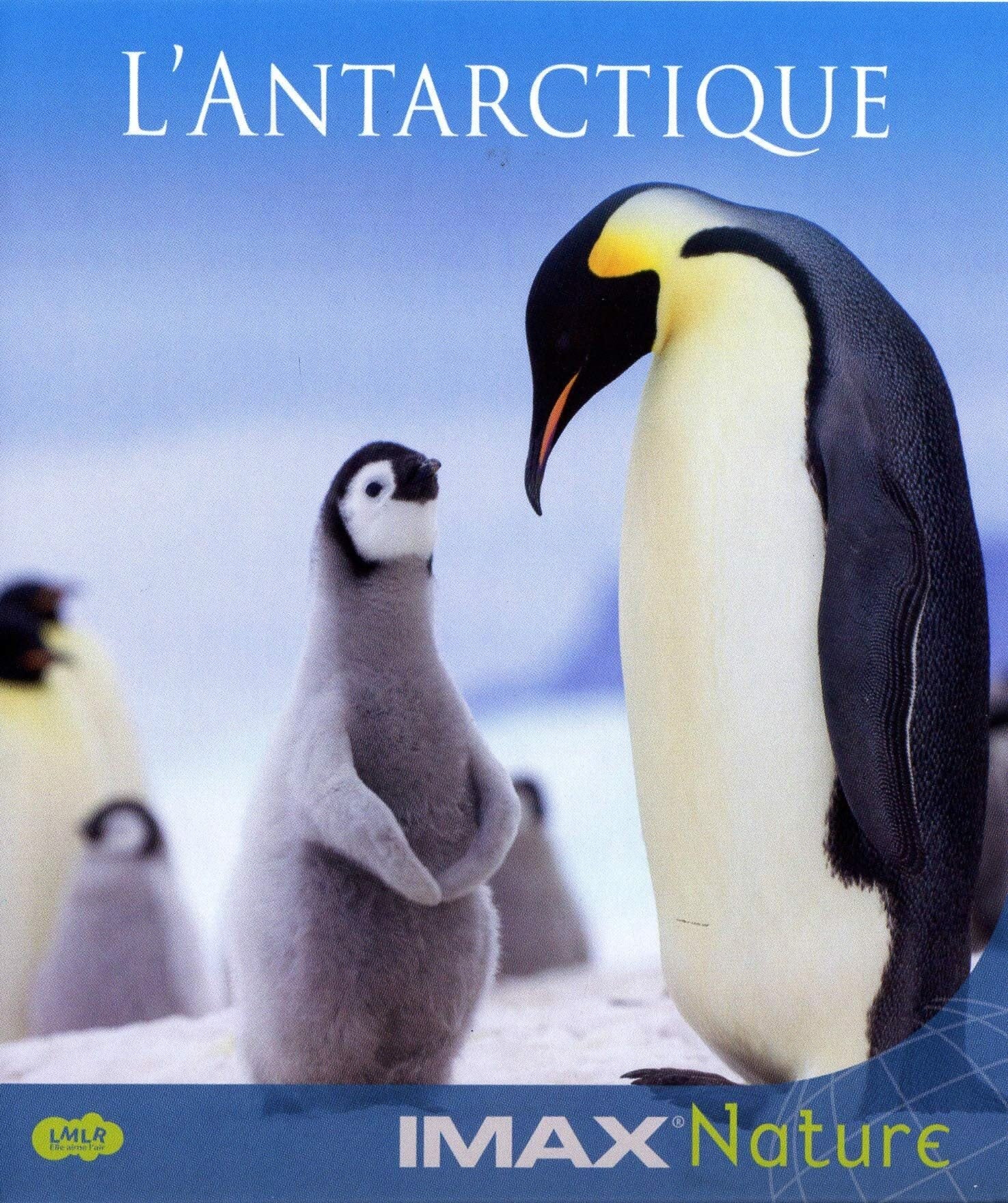 Livrenpoche : Imax nature : L'antarctique - John Weiley - DVD