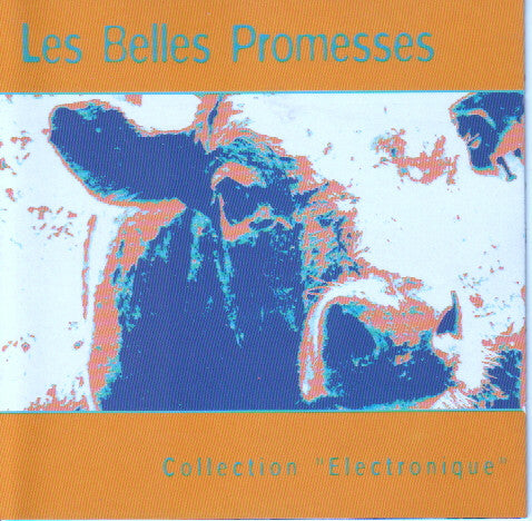 Livrenpoche : Les belles promesses - Collection électronique - Collectif - CD