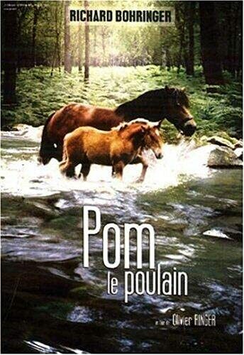 Livrenpoche : Pom, le poulain - Olivier Ringer - DVD