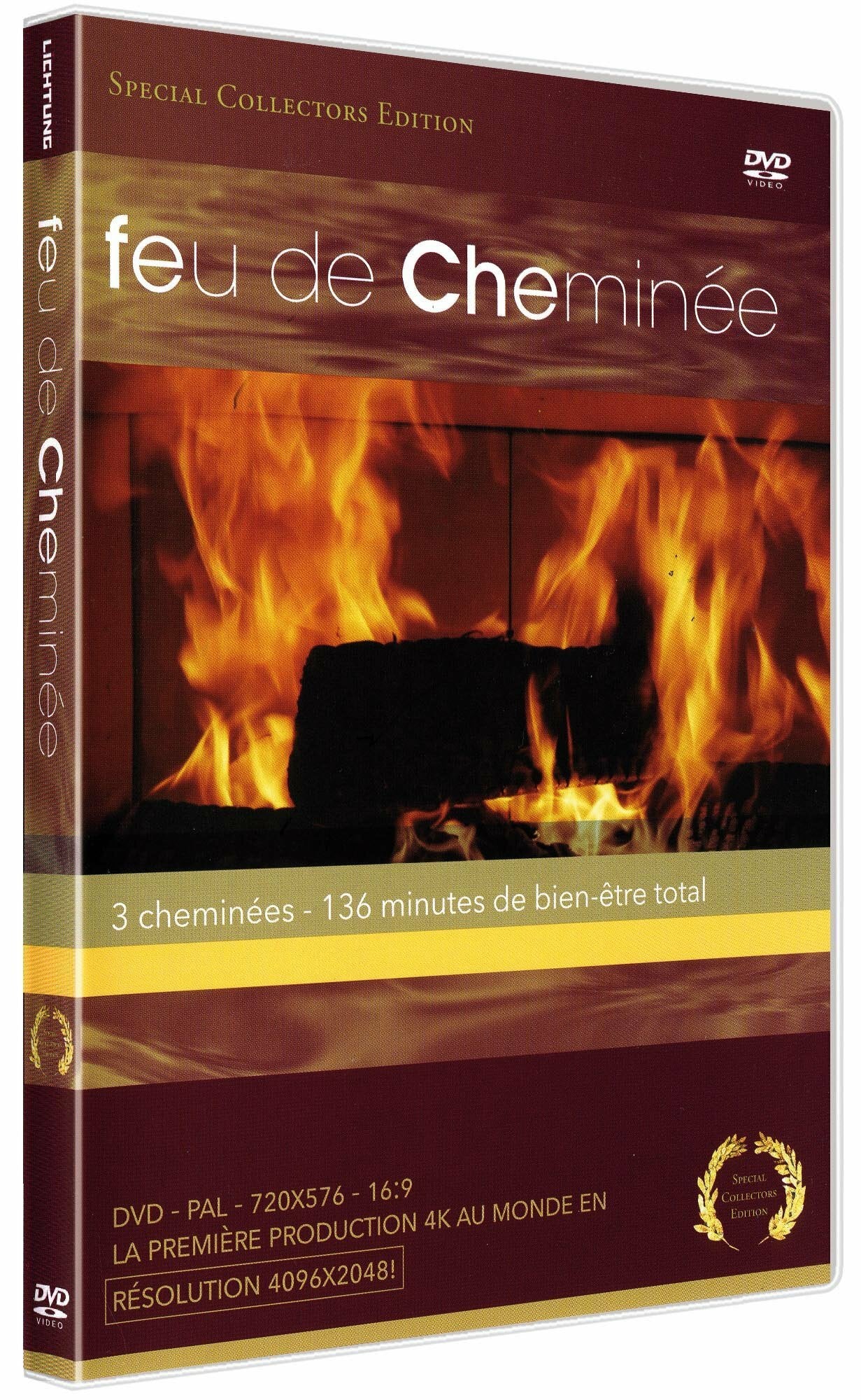 Livrenpoche : Feu de cheminée, une ambiance de détente - Timm Hogerzeil - DVD