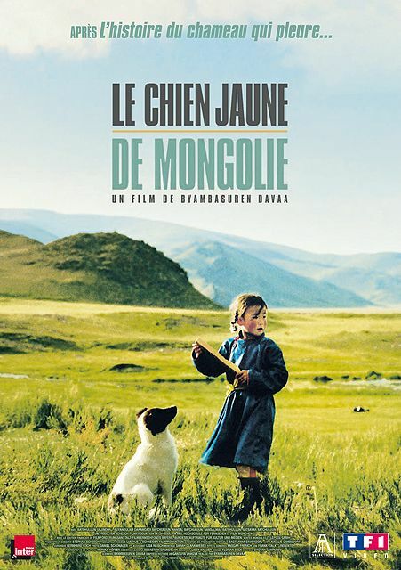 Livrenpoche : Le chien jaune de Mongolie - Byambasuren Davaa - DVD