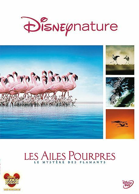 Livrenpoche : Les ailes pourpres : Le mystère des flamants - Matthew Aeberhard, Leander Ward - DVD