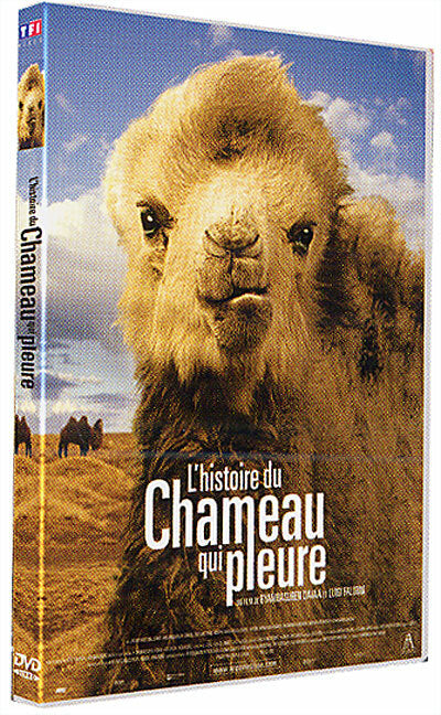 Livrenpoche : L'histoire du chameau qui pleure - Davaa, Byambasuren, Falorni, Luigi - DVD