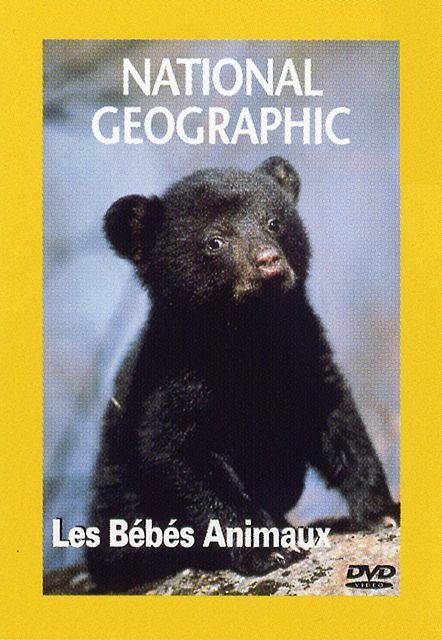 Livrenpoche : National geographic : Les bébés animaux - XXX - DVD