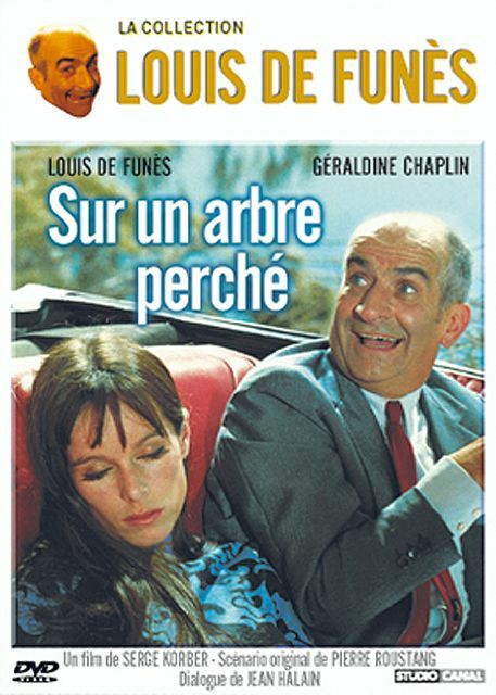 Livrenpoche : Sur un arbre perché - Serge Korber - DVD