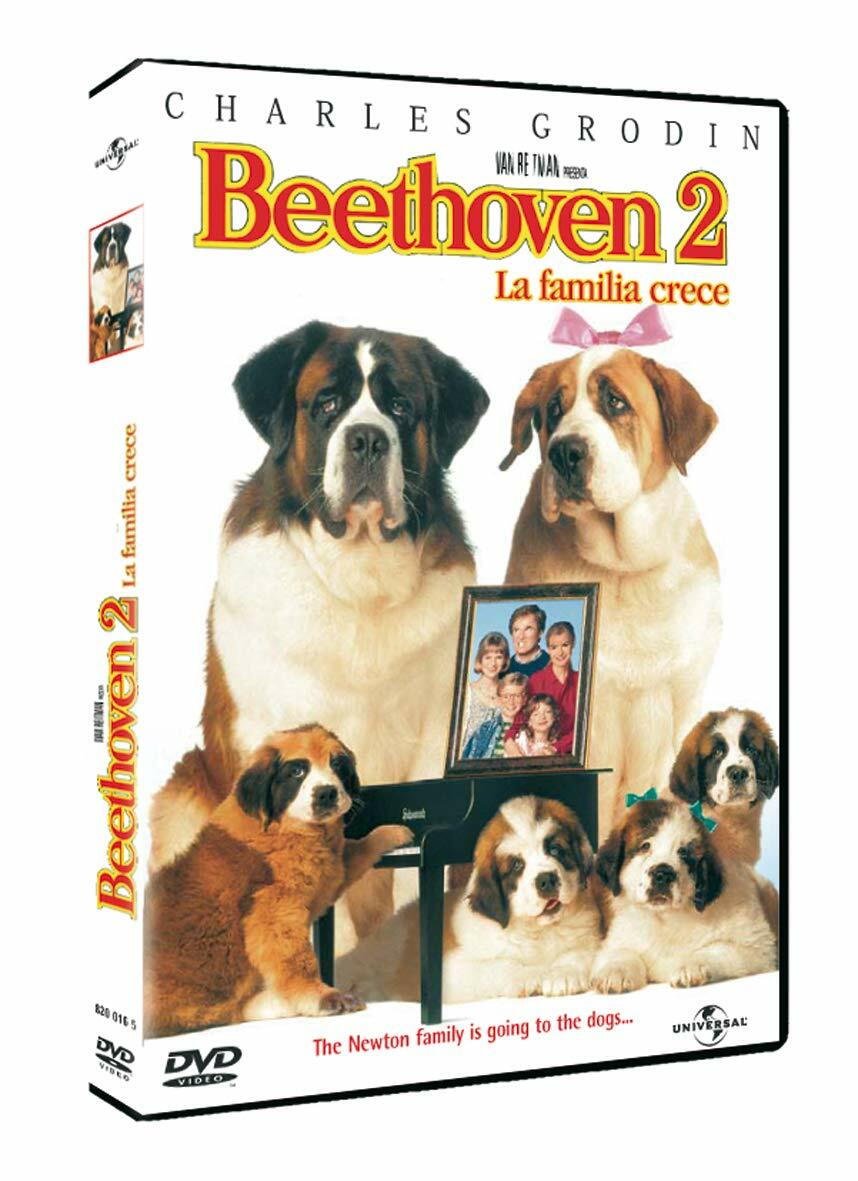 Livrenpoche : Beethoven 2 - Rod Daniel - DVD