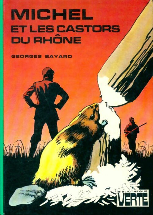 Michel et les castors du Rhône - Georges Bayard -  Bibliothèque verte (3ème série) - Livre