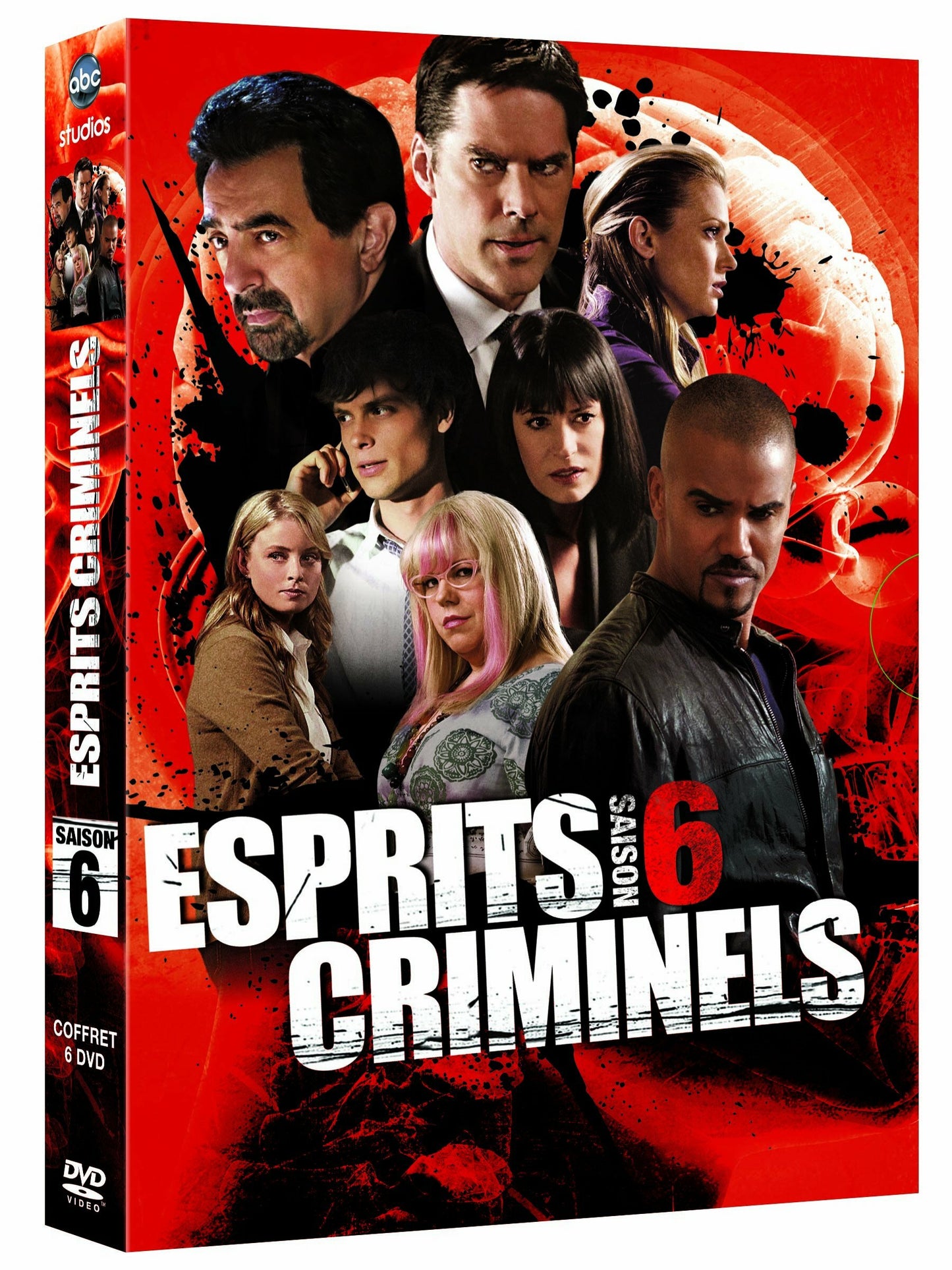 Livrenpoche : Esprits criminels, saison 6 - coffret 6 DVD - XXX - DVD
