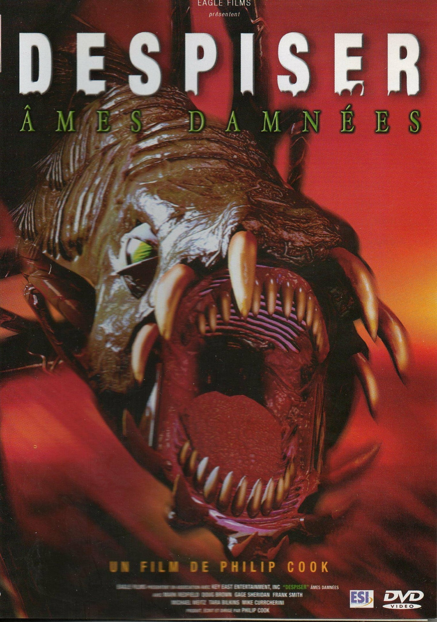 Livrenpoche : Despiser-Ames damnées - Philip Cook - DVD