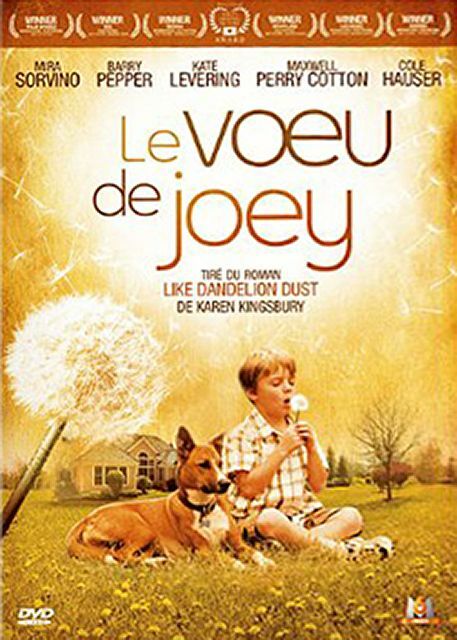 Livrenpoche : Le voeu de Joey - Jon Gunn - DVD