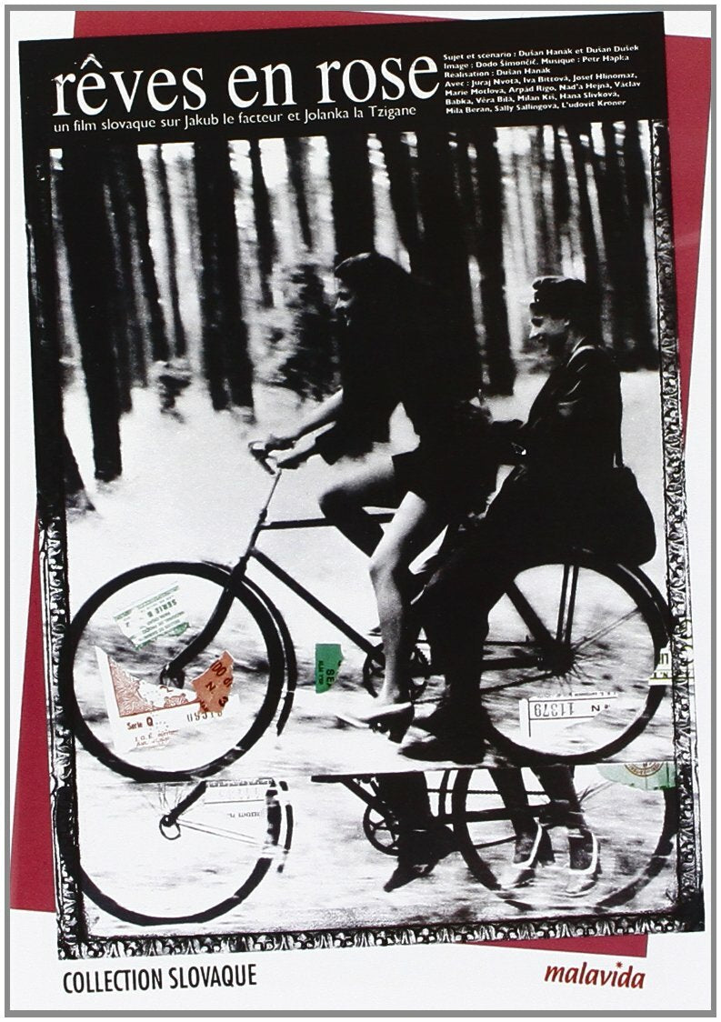 Livrenpoche : Rêves en rose - Dusan Hanák - DVD