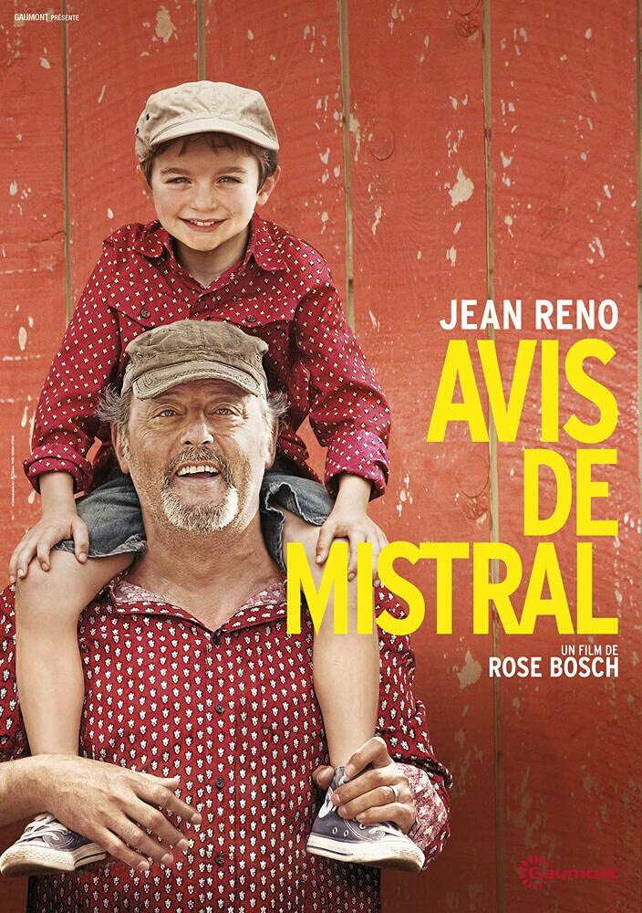 Livrenpoche : Avis de Mistral - Rose Bosch - DVD