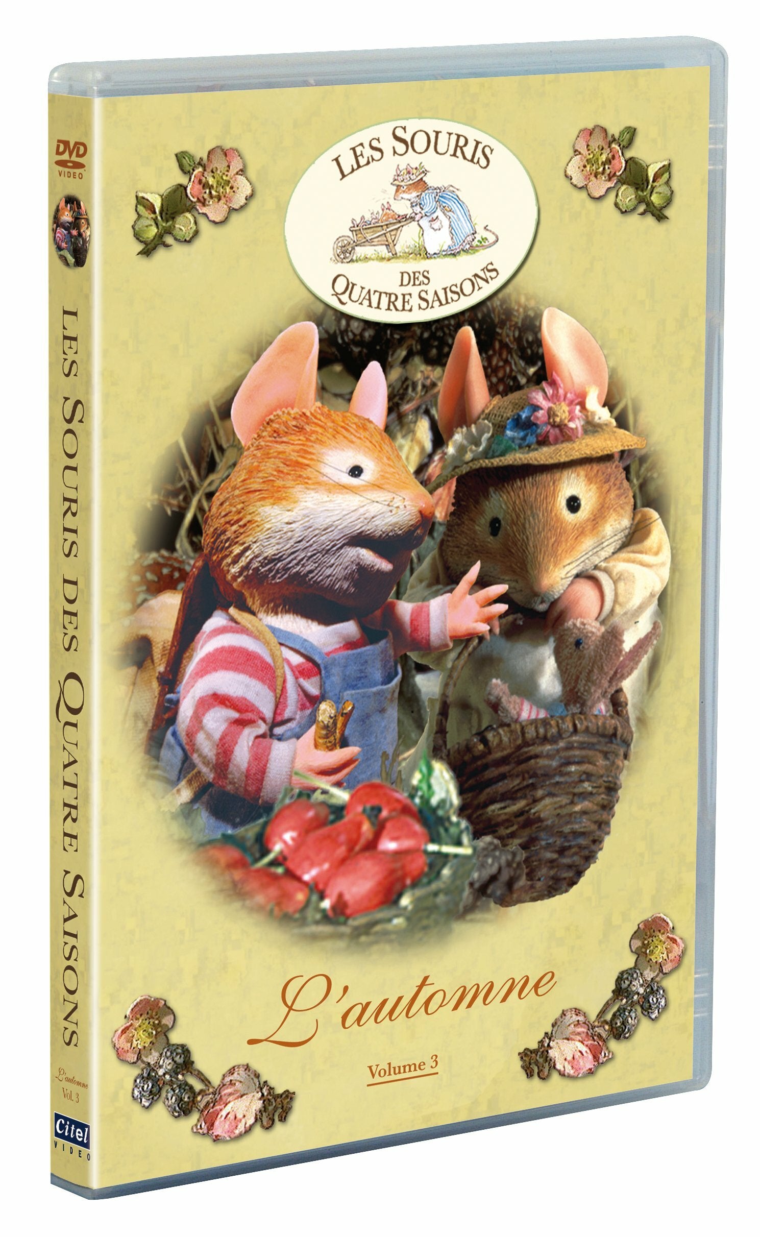 Livrenpoche : Les Souris des 4 Saisons : l'automne - XXX - DVD