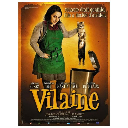 Livrenpoche : Vilaine-DVD - Jean-Patrick Benes, Allan Mauduit - DVD