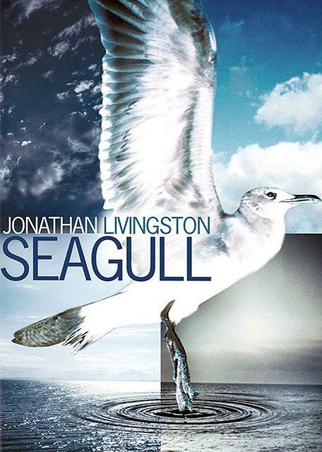 Livrenpoche : Jonathan Livingston le goéland - Hall Bartlett - DVD