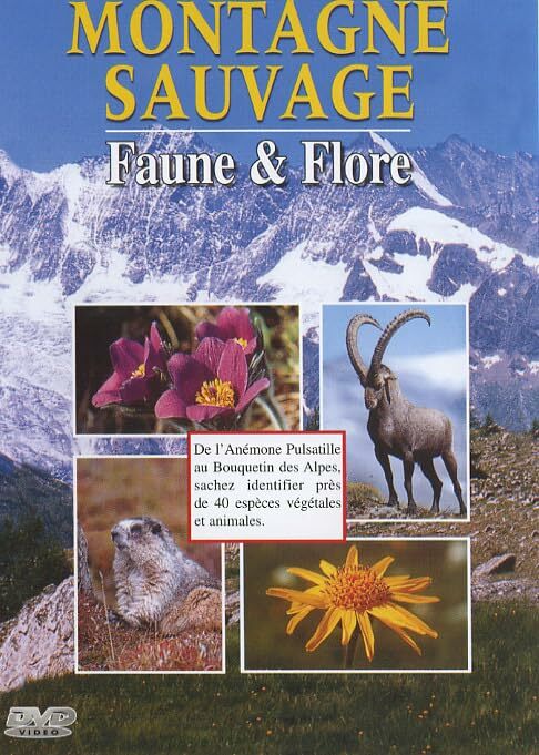 Livrenpoche : Montagne Sauvage-Faune & Flore - Jean-Philippe Macchioni - DVD