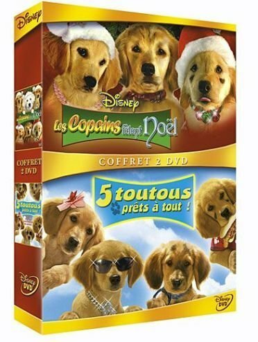 Livrenpoche : Les copains fêtent noël + 5 toutous prêts à tout - Robert Vince - DVD