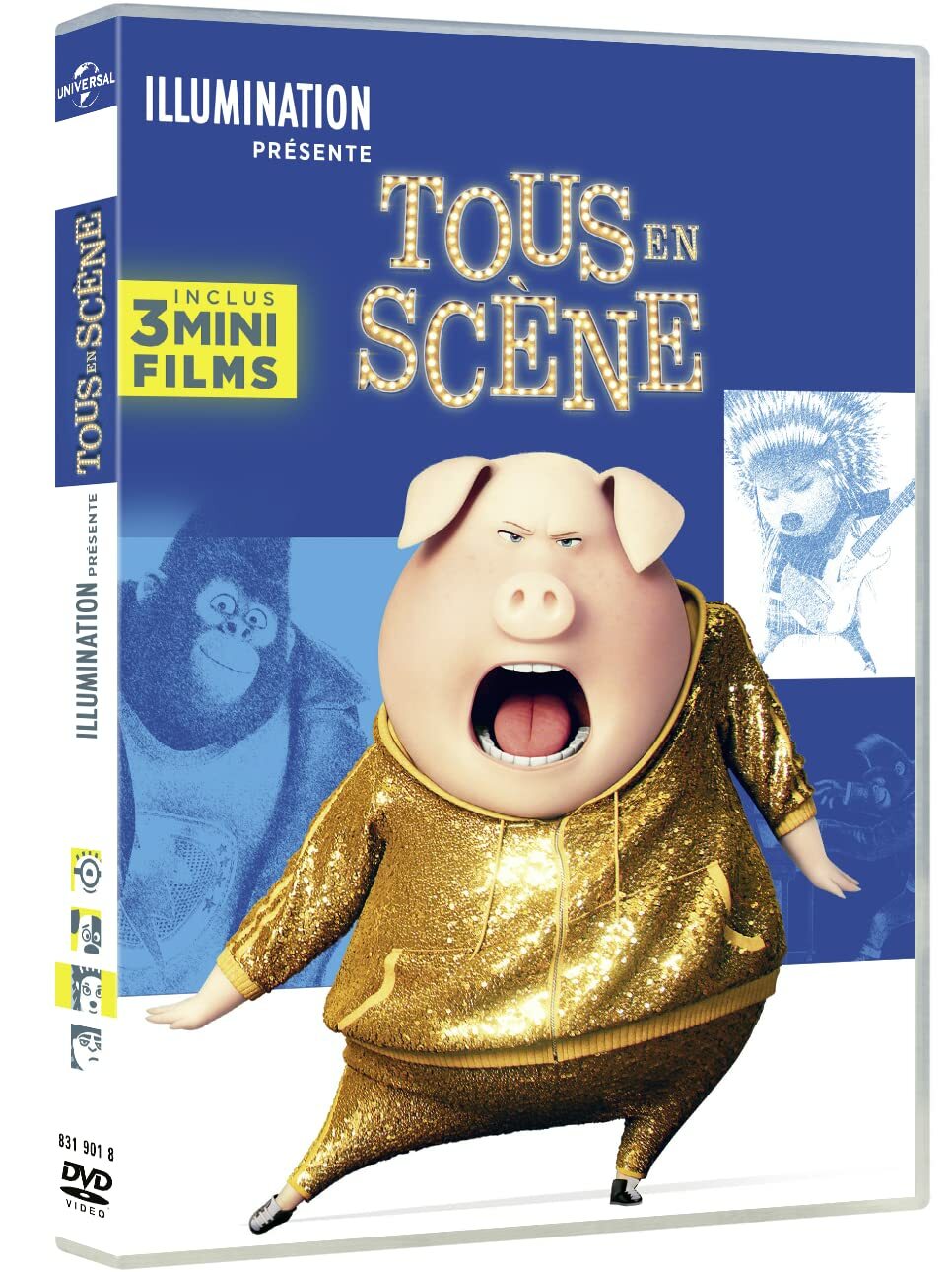 Livrenpoche : Tous en scène - Garth Jennings, Christophe Lourdelet - DVD