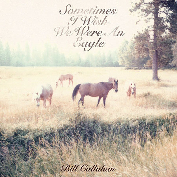 Livrenpoche : Bill Callahan - Sometimes I Wish We Were An Eagle - Bill Callahan - CD