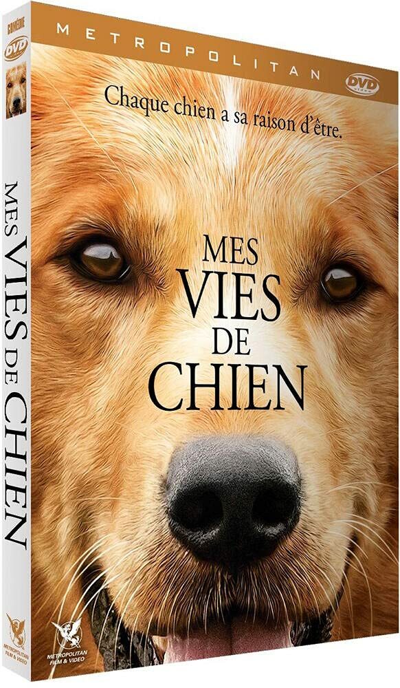 Livrenpoche : Mes vies de chien - Lasse Hallström - DVD