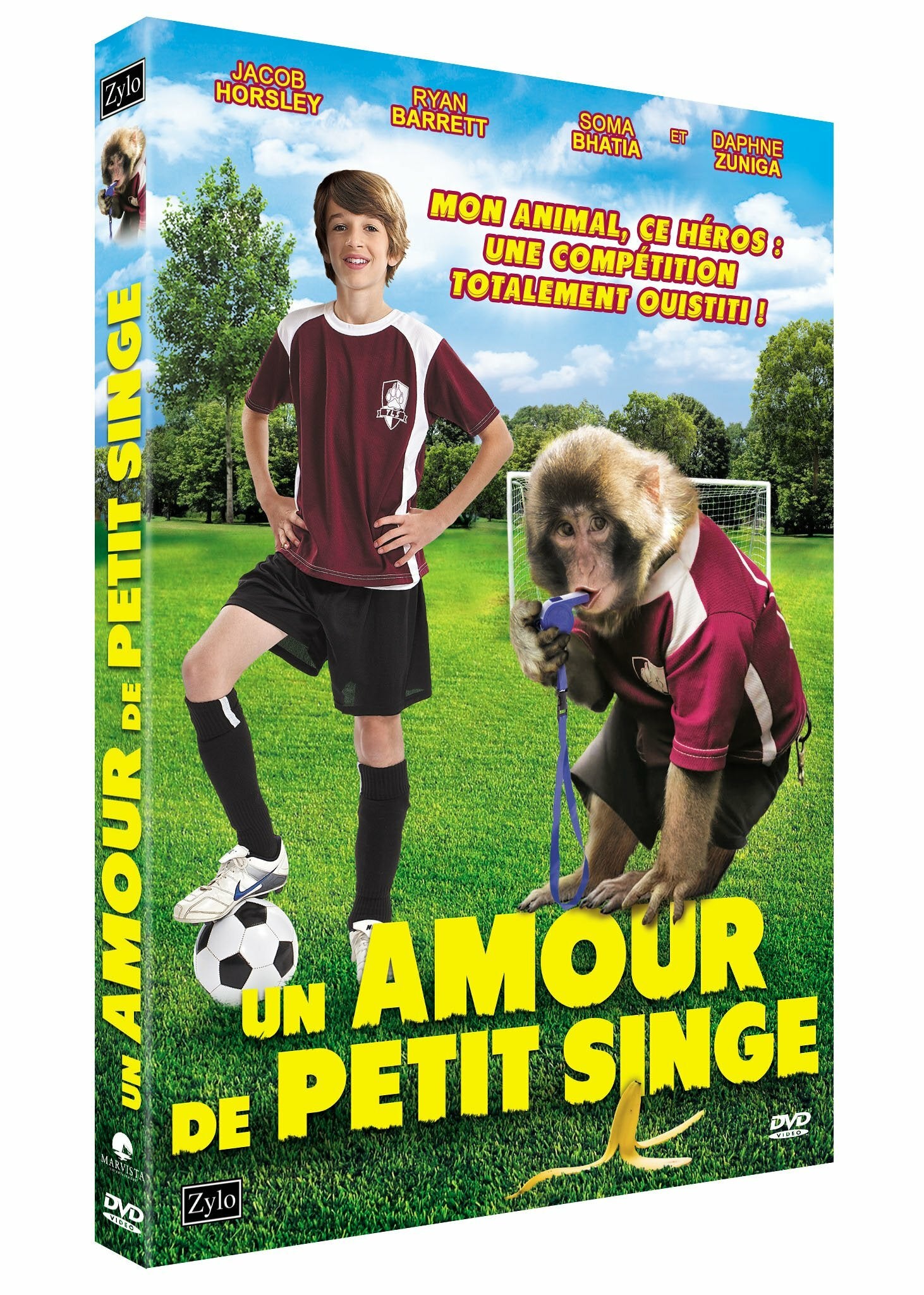 Livrenpoche : Un amour de petit singe - Justin G. Dyck - DVD