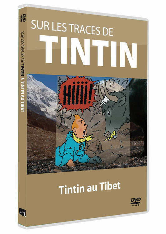 Livrenpoche : Sur Les Traces De Tintin Vol. 5 : Tintin au Tibet - Florence Tran - DVD