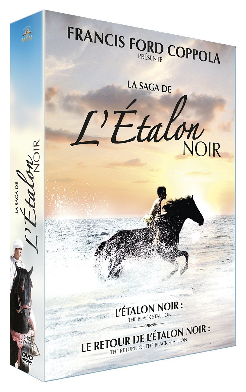 Livrenpoche : La Saga L'étalon Retour de l'étalon Noir - Carroll Ballard, Robert Dalva - DVD