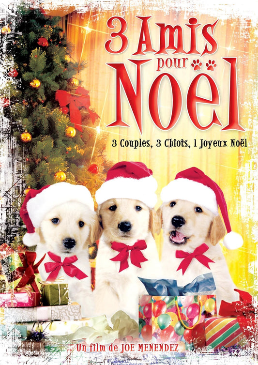 Livrenpoche : 3 Amis pour Noël - Joe Menendez - DVD