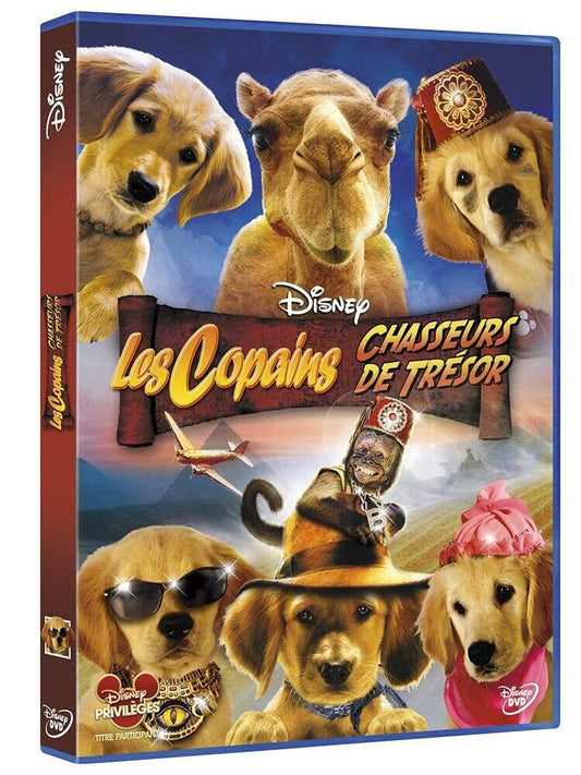 Livrenpoche : Les Copains Chasseurs de trésor - Robert Vince - DVD