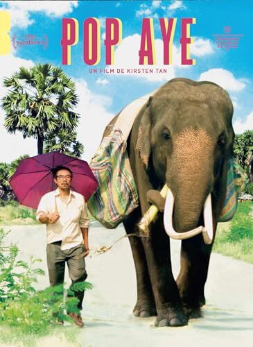 Livrenpoche : Pop Aye - Kirsten Tan - DVD