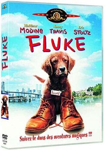 Fluke - Carlo Carlei - DVD