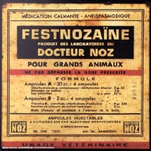 Livrenpoche : Festnozaïne - Docteur Noz - CD