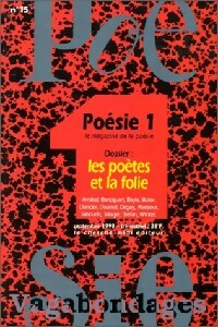 Livrenpoche : Les poètes et la folie - Collectif - Livre