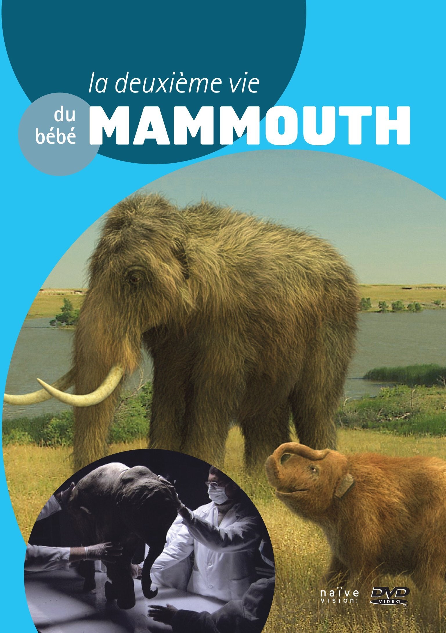Livrenpoche : La Deuxième Vie du Bébé Mammouth - XXX - DVD