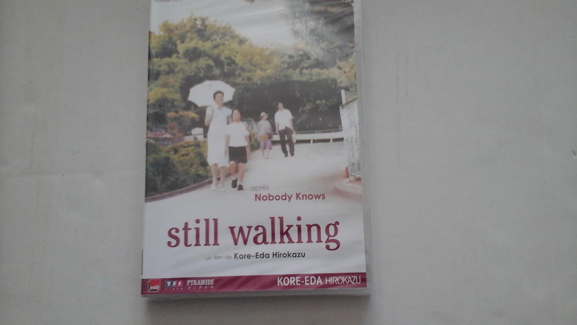 Still Walking - Hirokazu Kore-Eda - DVD