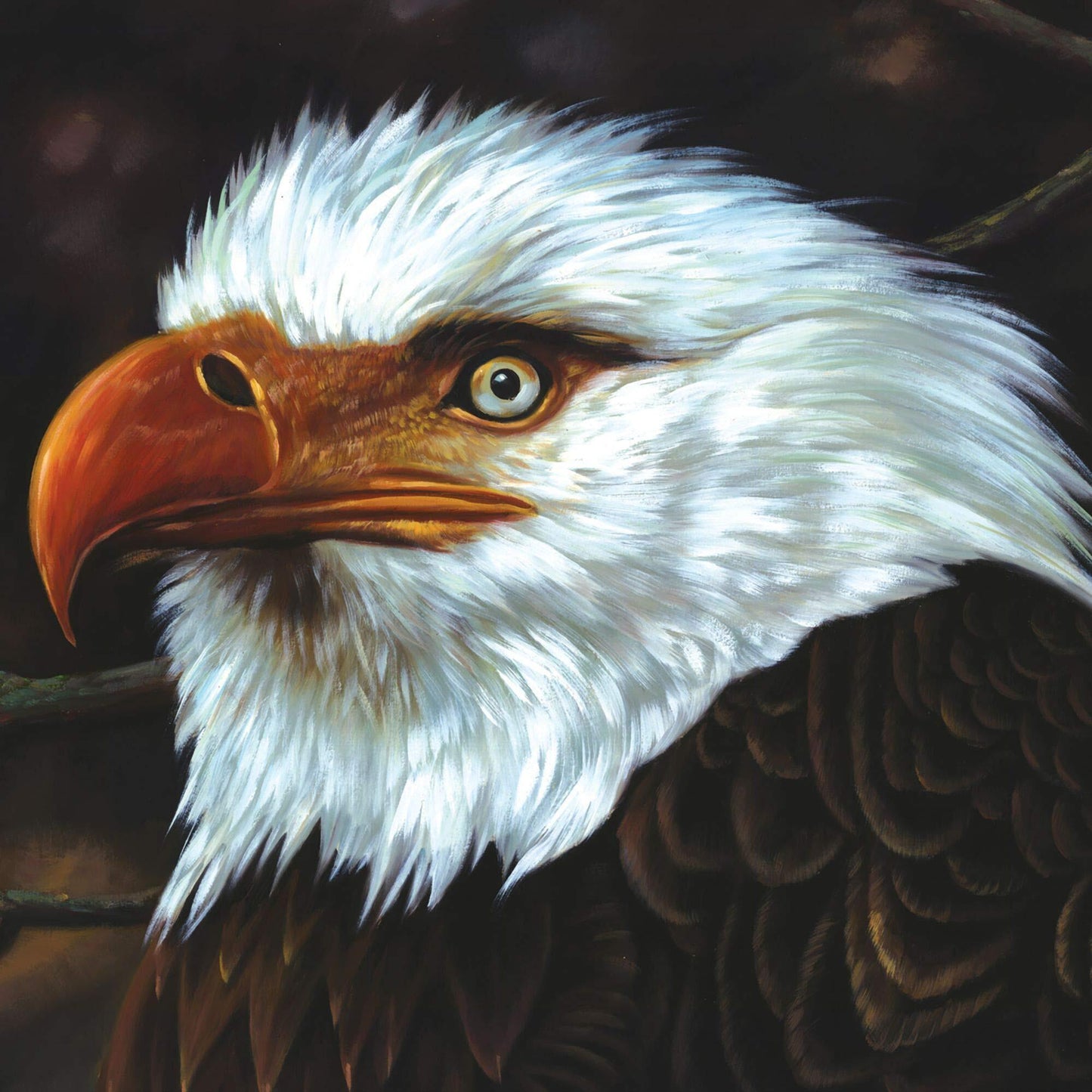 Mogwai - The hawk is howling - Mogwai - CD