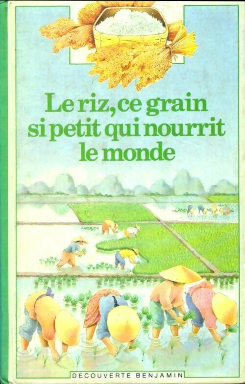 Livrenpoche : Le riz. Ce grain si petit qui nourrit le monde - Raphaëlle Brice - Livre