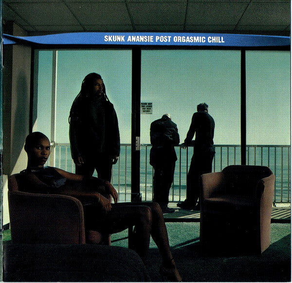 Skunk Anansie - Post Orgasmic Chill - Skunk Anansie - CD