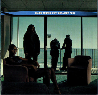Skunk Anansie - Post Orgasmic Chill - Skunk Anansie - CD