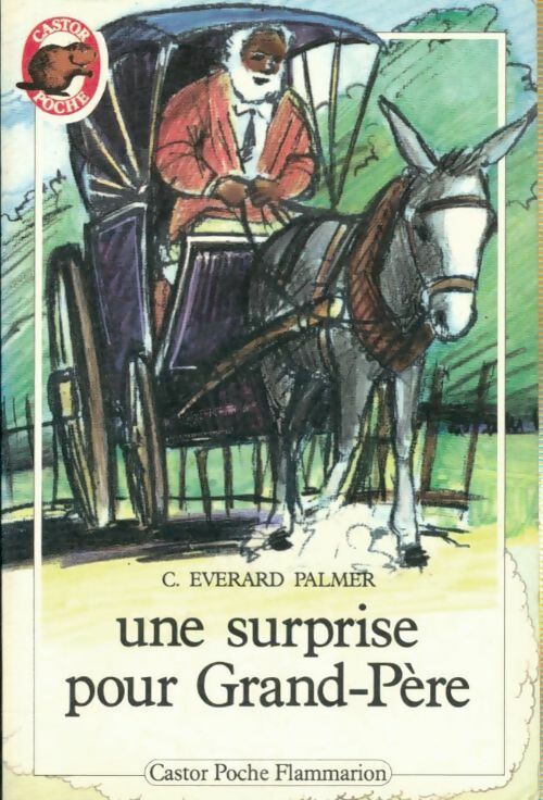 Livrenpoche : Une surprise pour Grand-Père - C. Everard Palmer - Livre