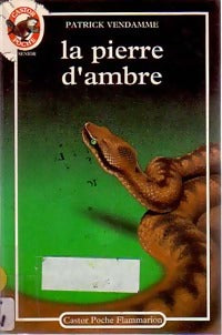 Livrenpoche : La pierre d'ambre - Patrick Vendamme - Livre