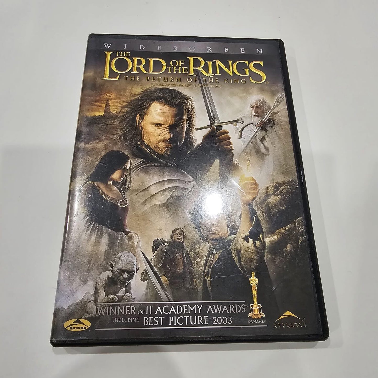 The Lord of the Rings: The Return of the King (Wid (DVD) - XXX - DVD