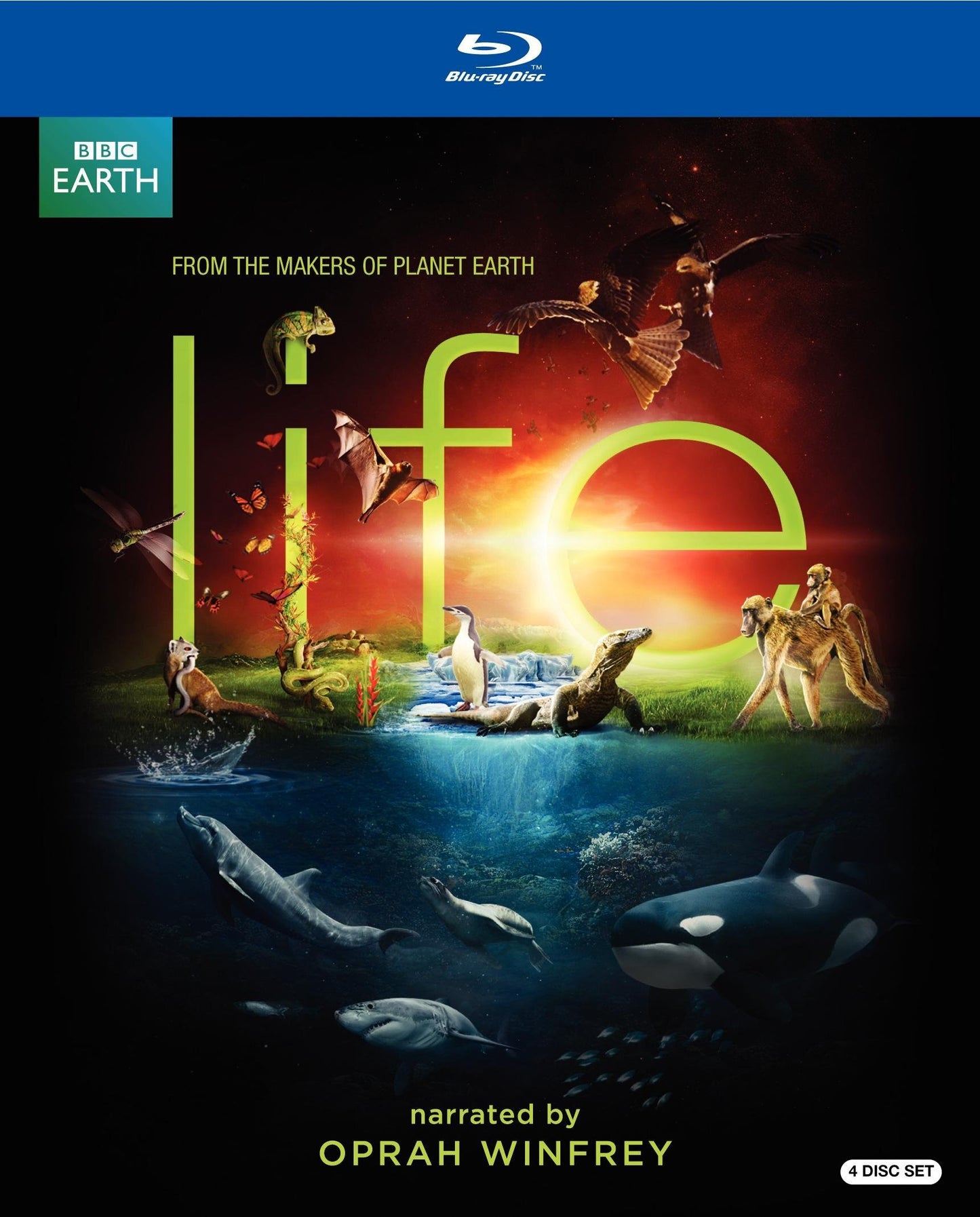 Life (US) - XXX - DVD
