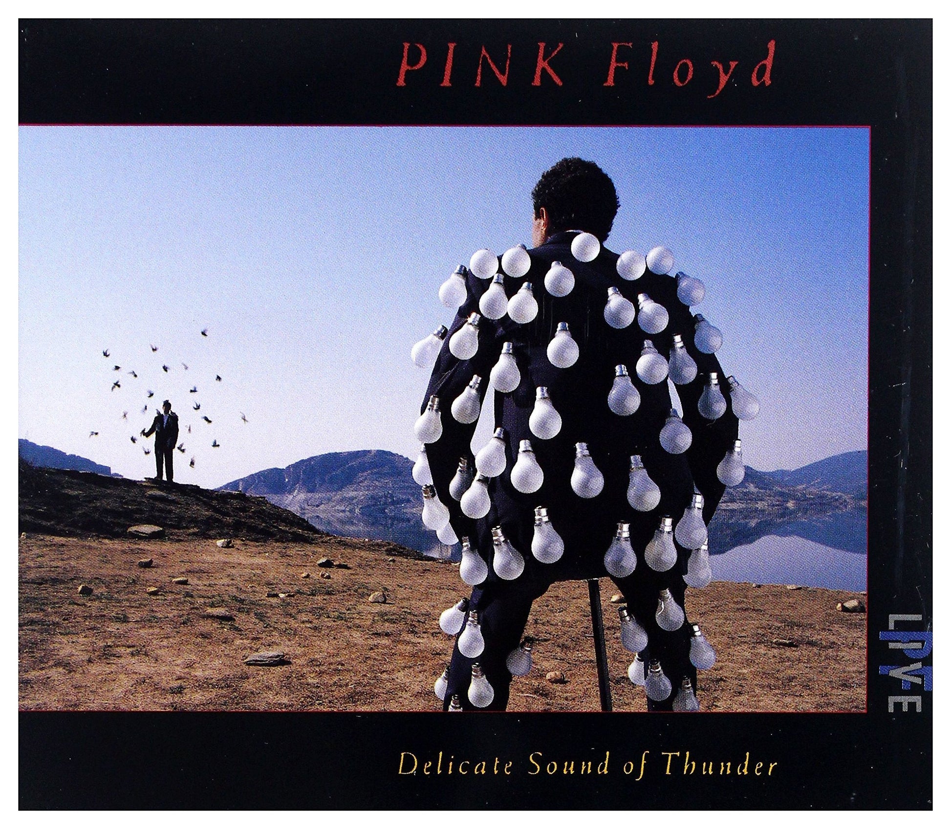Pink Floyd - Delicate sound of thunder - Pink Floyd - CD