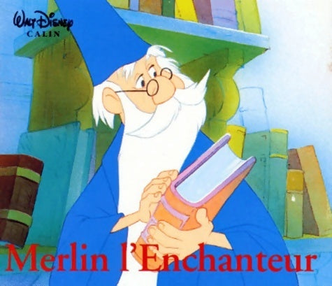Livrenpoche : Merlin l'Enchanteur - Collectif - Livre
