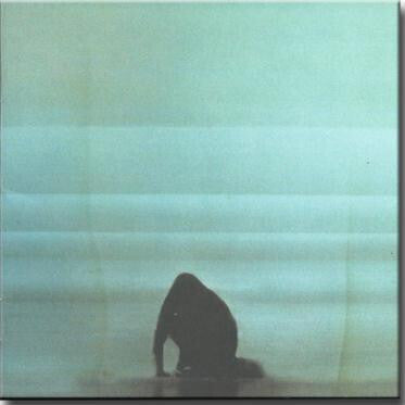 Foals - What Went Down - Foals - CD