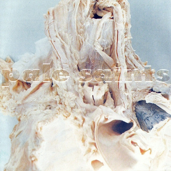 Pale Saints - In Ribbons - Pale Saints - CD