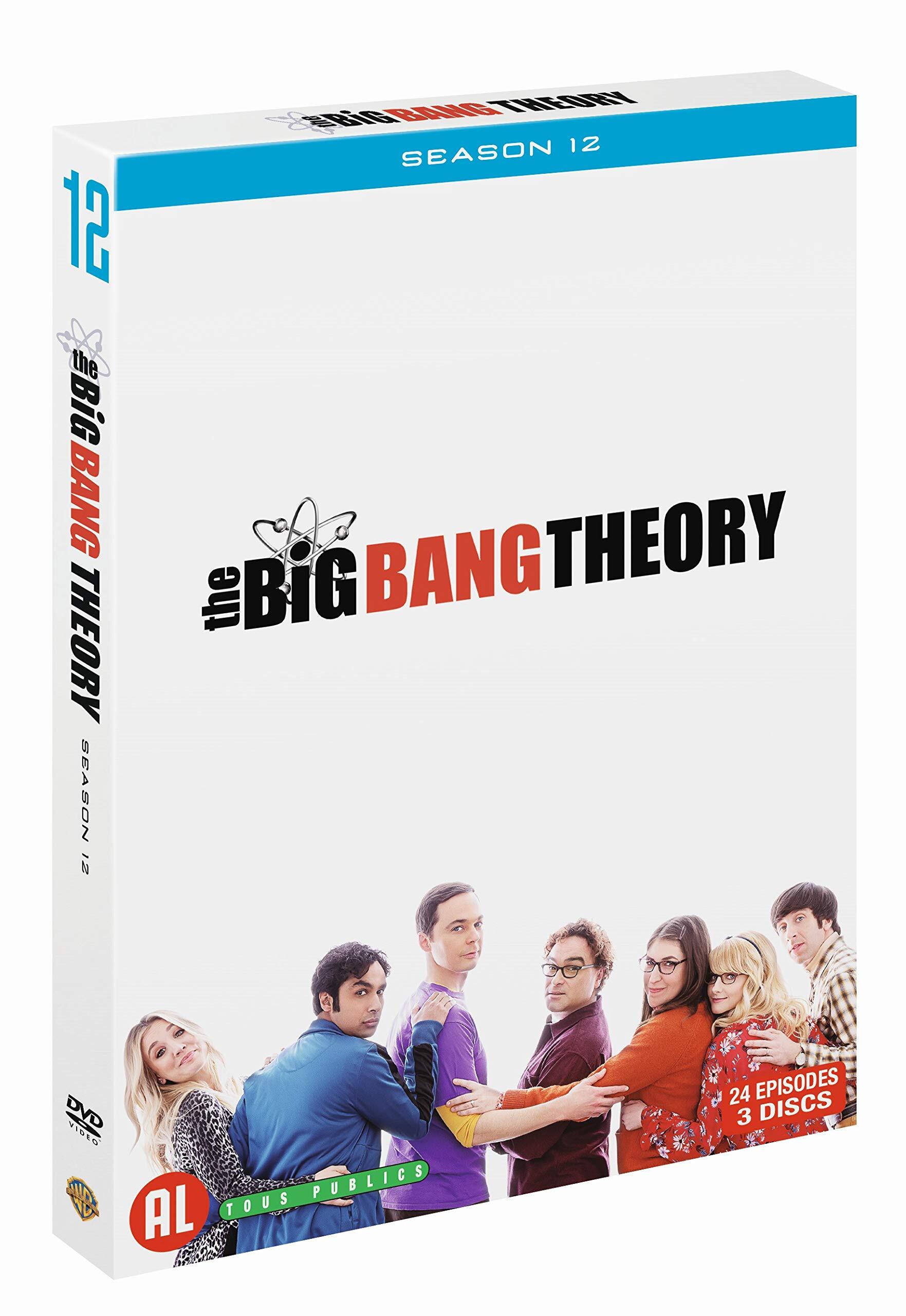 The Big Bang Theory - Saison 12 - Mark Cendrowski, Nicole Lorre, Kristy Cecil - DVD