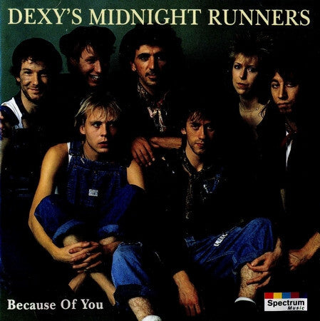Dexys Midnight Runners - Because of you - Dexys Midnight Runners - CD