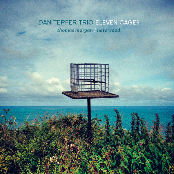 Dan Tepfer Trio - Eleven Cages - Dan Tepfer Trio - CD